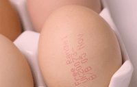 se penche sur le gaspillage et la conservation des aliments.