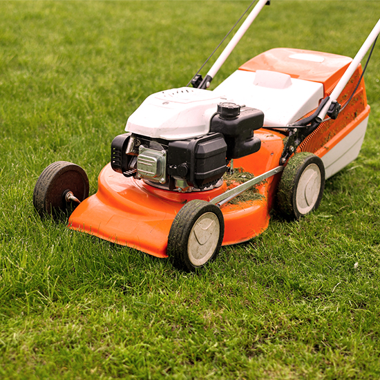 9 conseils pour préparer sa pelouse et son jardin à l’hiver